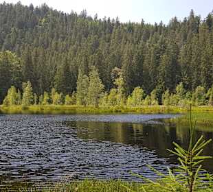 Rundwanderweg Baiersbronn