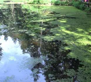 Wanderweg - Alter Steinbruch Pfaffenberg Runde