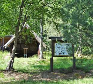 Eindrücke vom Moorpfad in Tarmstedt