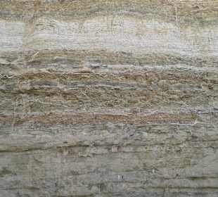 Ausflug nach Ghost City