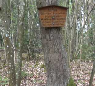 Vitus Mayer Waldlehrpfad