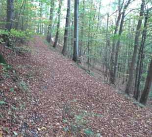 Premiumwanderweg "hochgehkeltert" Öschingen