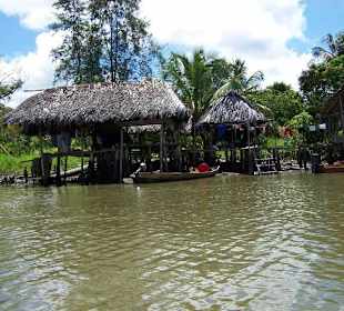 Orinoco Delta