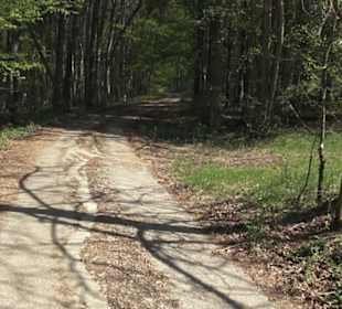 Waldlehrpfad an der Lauter