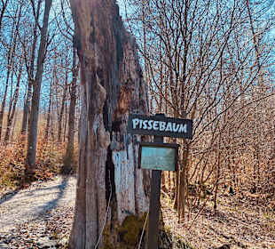 Wandern Schmallenberg