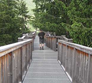 Baumwipfelpfad