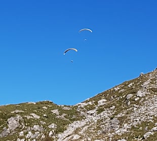 Nebelhorn 