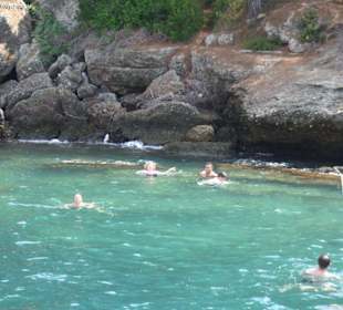 Delphin Insel Lagune