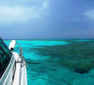 Speedboottour mit Oototo Holiday Service