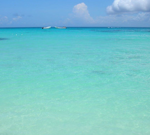 Wenn Träume wahr werden Insel Saona