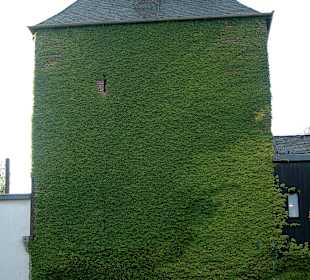Altstadt....die Stadtmauer das grünes Haus