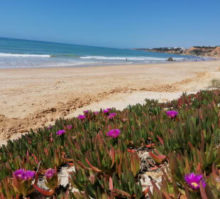 Strand Praia da Falésia