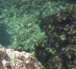 Schönes klares Wasser