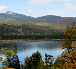 Blick auf den herbstlichen See