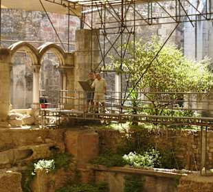 Prace archeologiczne w Katedrze 