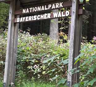 Nationalpark Bayerischer Wald