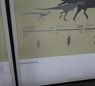 Dinosaurier Museum Altmühltal