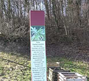 Wanderung Florianrunde