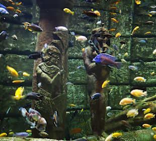 Aquarium Antalya