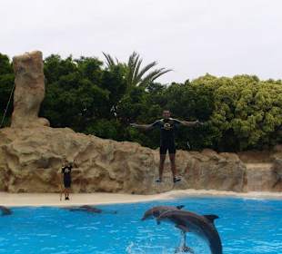 Delphin Show