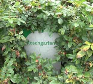 Rosengarten