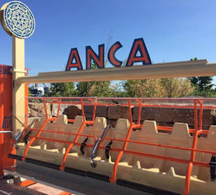 ANCA