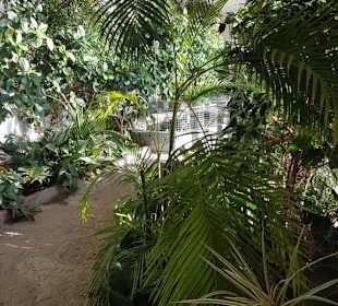 Schloss Mirabell Orangerie  