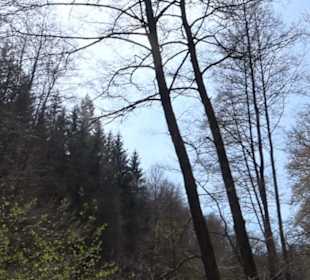 Spazierweg Ritter Museum