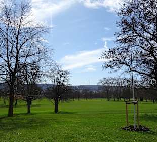 Rosensteinpark