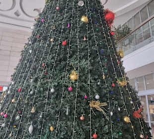Tannenbaum