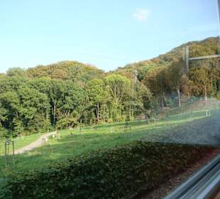 Zahnradbahn am Drachenfels