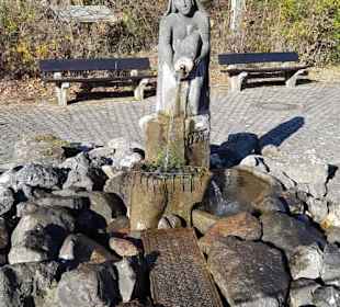 Abwechslungsreicher Weg