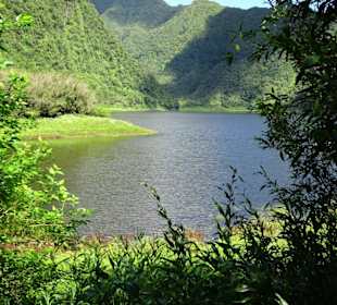 Blick auf den Grand Étang aus der Höhe