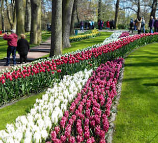 Blumenpracht im Keukenhof
