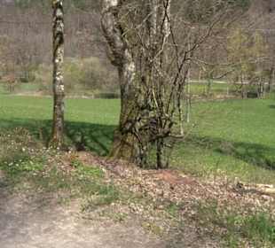 Sculptoura Frühstück im Freien