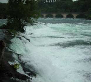 Rheinfall