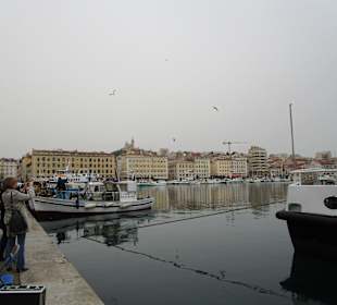 Alter Hafen