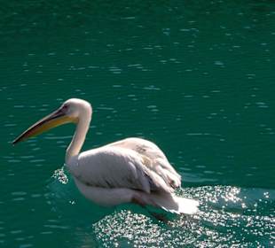 Unterwegs auf dem Green Canyon