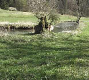 Wanderweg Hochgehswiggert
