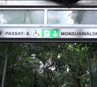 Tropicarium - Feuchte Tropen