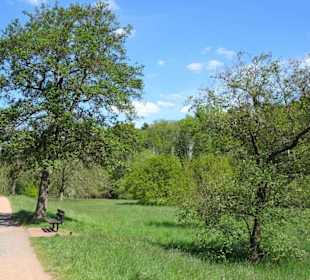 Impressionen vom Rundgang um den Klostersee