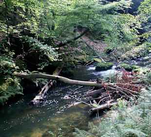Zwischen Stiller und Wilder Klamm