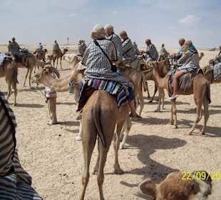 Kamelritt in die Wüste