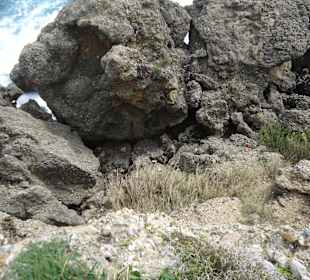 Aussicht von Halbinsel