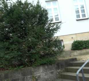 Katholische Kirche St. Franziskus