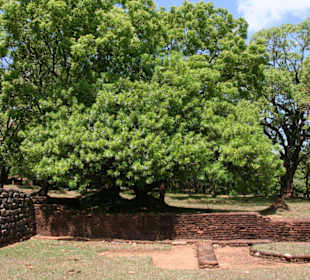 Sigiriya