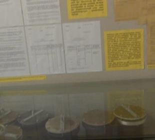 Stasi-Museum