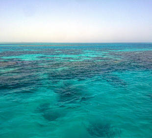Red Sea