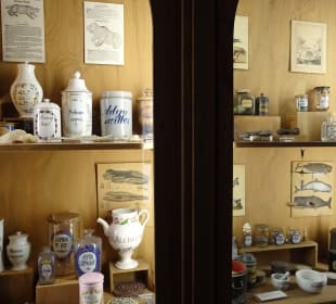 Bergbahn - Aus- und Einblicke vom Schloss