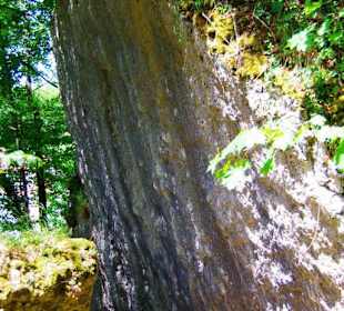 Wanderung zum Bärenfels
